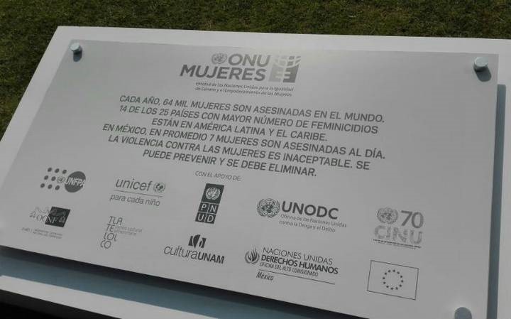 ONU: en México se cometen siete feminicidios al día