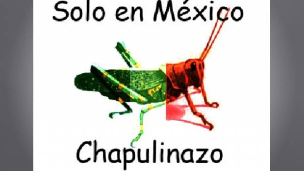 A diputados chapulines les pesará aprobar leyes Morenovallistas