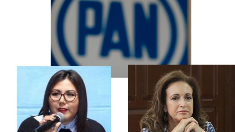 Pierde Genoveva Huerta batalla legal en el TEPJF por la presidencia del PAN contra Augusta Díaz de Rivera