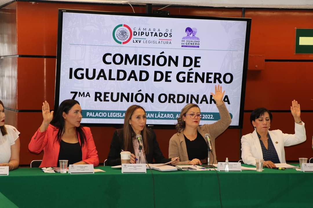 Exigen desde la Comisión de Igualdad de la Cámara de diputados la aparición de la joven Sandra,  secuestrada el pasado 27 de abril en Amozoc