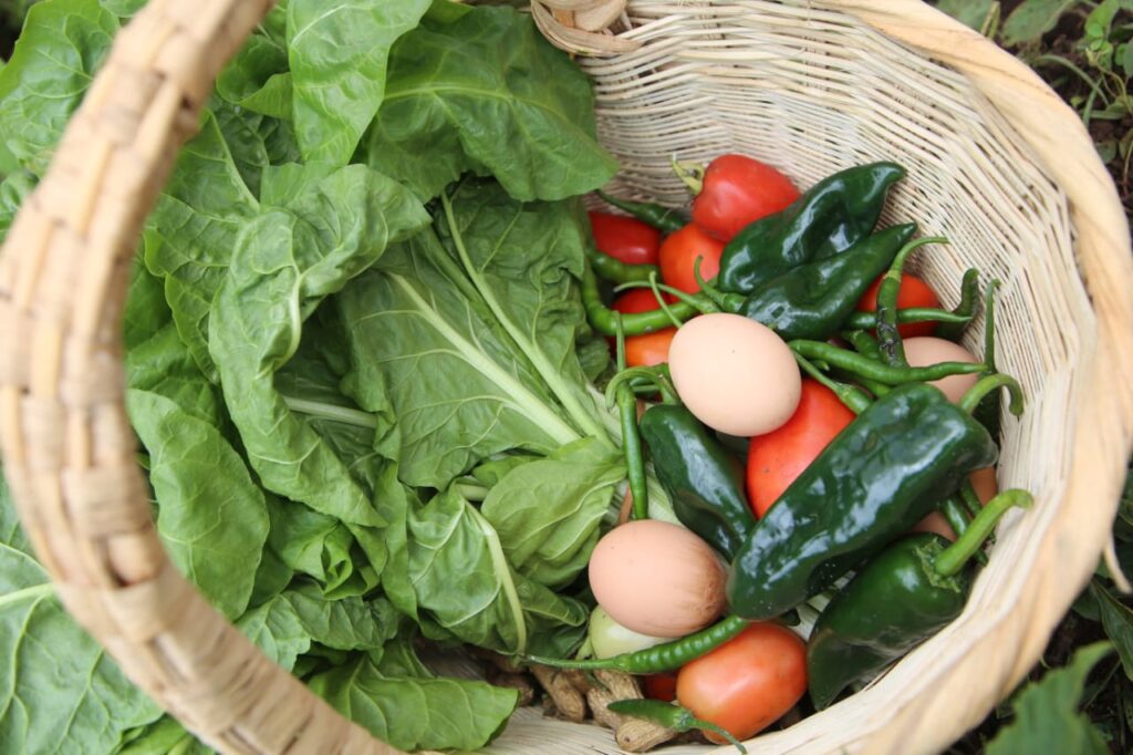 Ya producen para autoconsumo mujeres indígenas de Naupan Puebla 