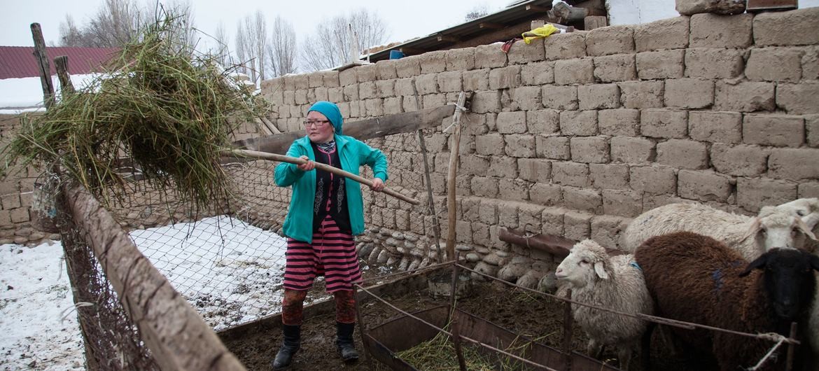 Trabajadoras rurales merecen cobertura de protección social,  tienen derechos dice la OIT