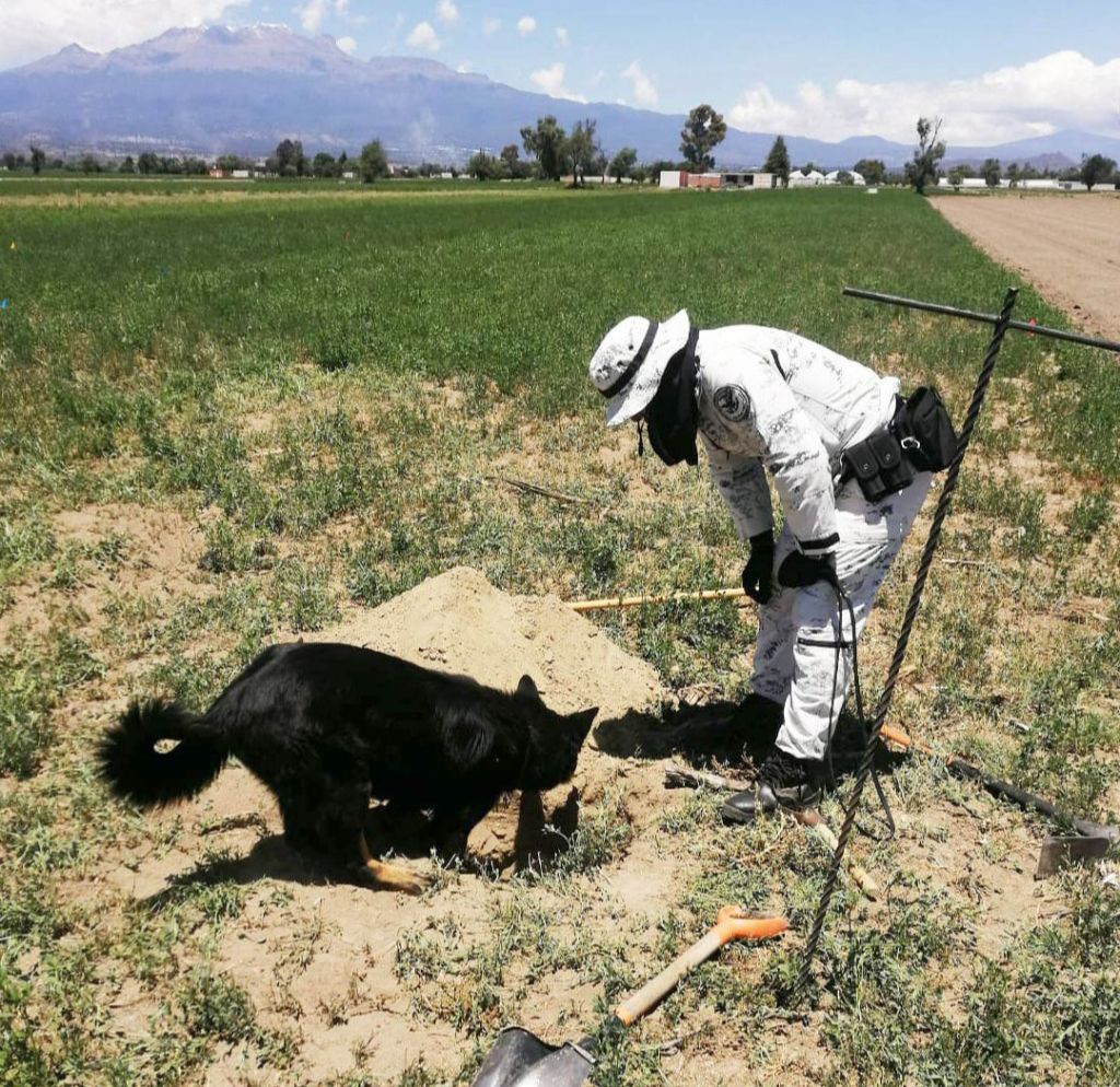 Bújsqueda de personas_desaparecidas_o_no_localizadas en Puebla