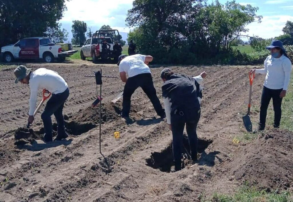 Bújsqueda de personas_desaparecidas_o_no_localizadas en Puebla