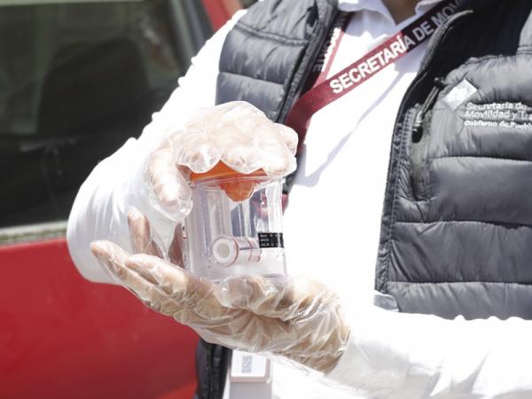 ANÁLISIS TOXICOLOGICO CHOFERES