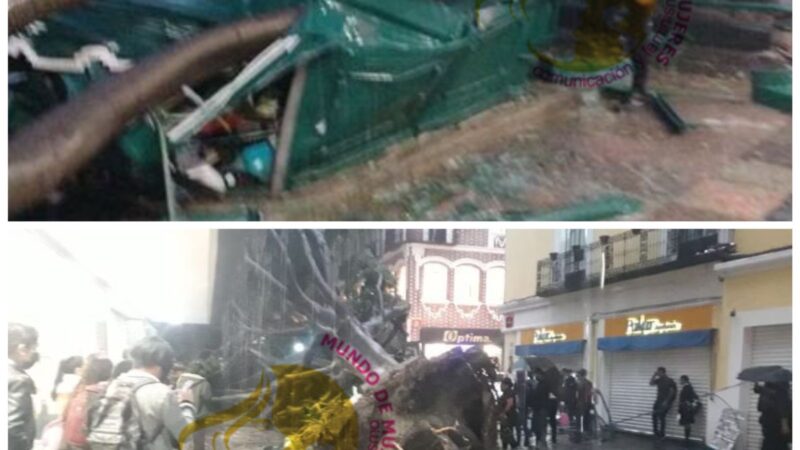 Muere un menor y su madre sufre lesiones por la caída de un árbol en pleno Centro Histórico de Puebla Capital