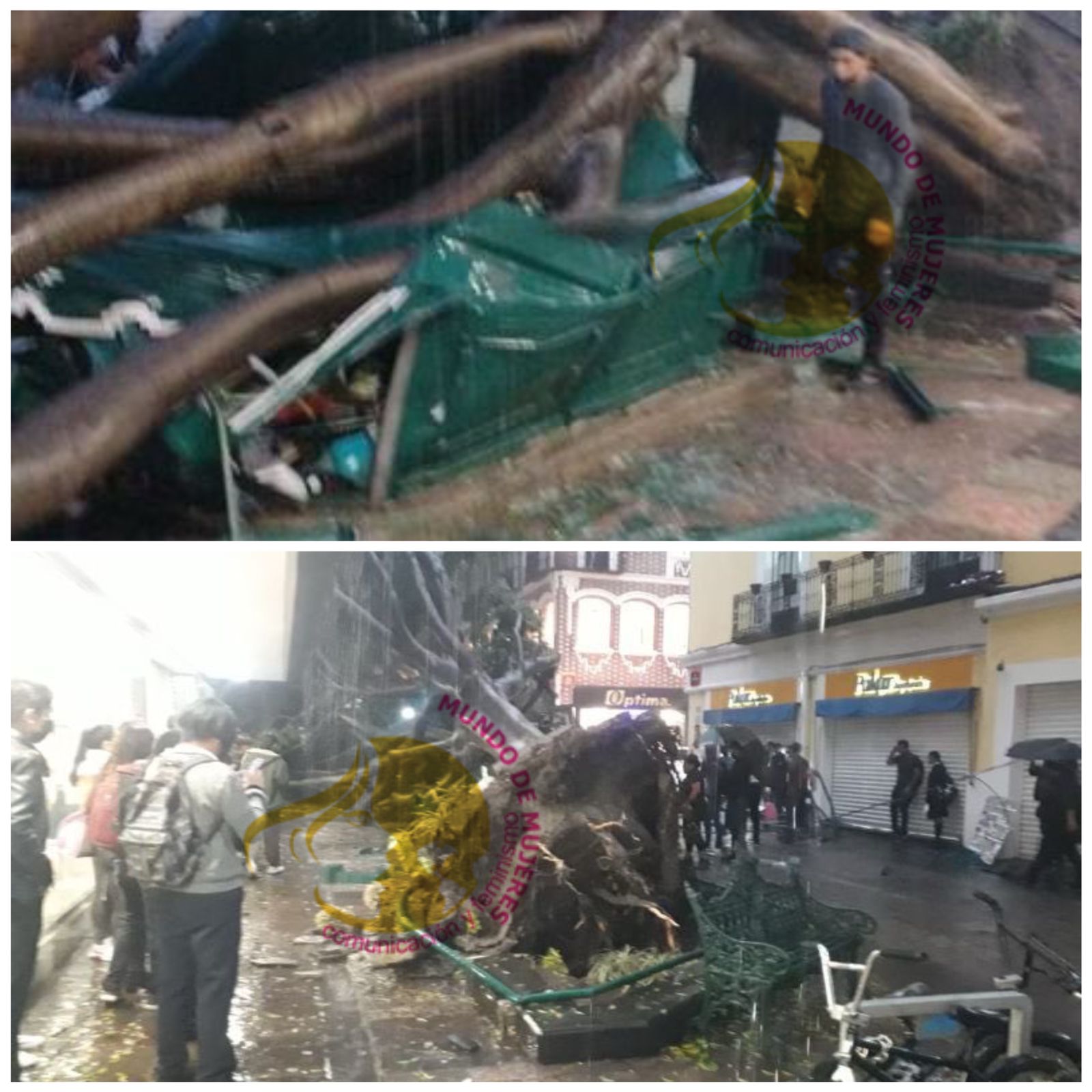 Muere un menor y su madre sufre lesiones por la caída de un árbol en pleno Centro Histórico de Puebla Capital