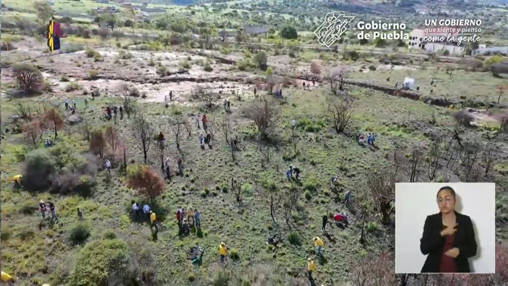 https://www.mundodemujeres.com.mx/2022/08/25/puebla-plantara-9-millones-de-arboles-y-fortalecera-suelos-para-abatir-la-deforestacion-miguel-barbosa/