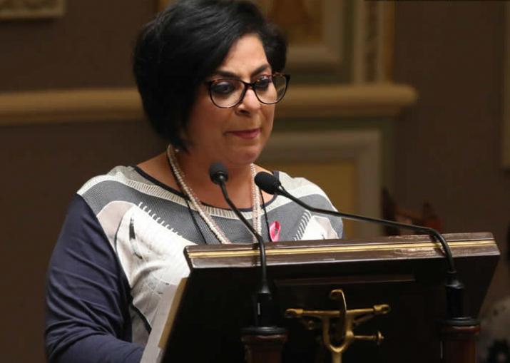 Dip de MORENA Guadalupe Yamak Taja
