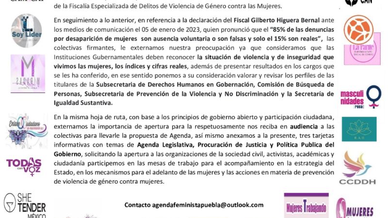 Colectivas Feministas mandan segunda Carta Abierta al Gobernador Sergio Salomón, sobre la Agenda de Género en Puebla