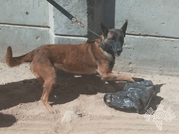 Aseguran elementos de Seguridad aparente droga al interior de penales y equipos de comunicación