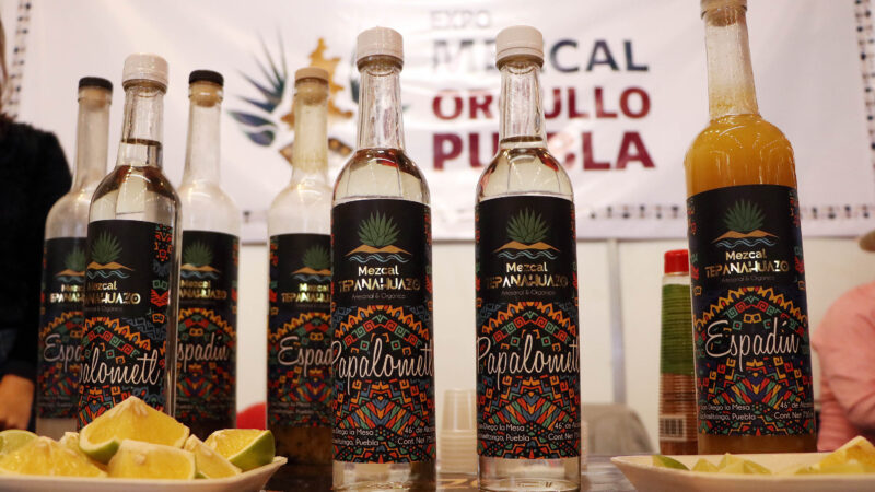 Productores poblanos de mezcal participarán en el Concurso Nacional de Marcas