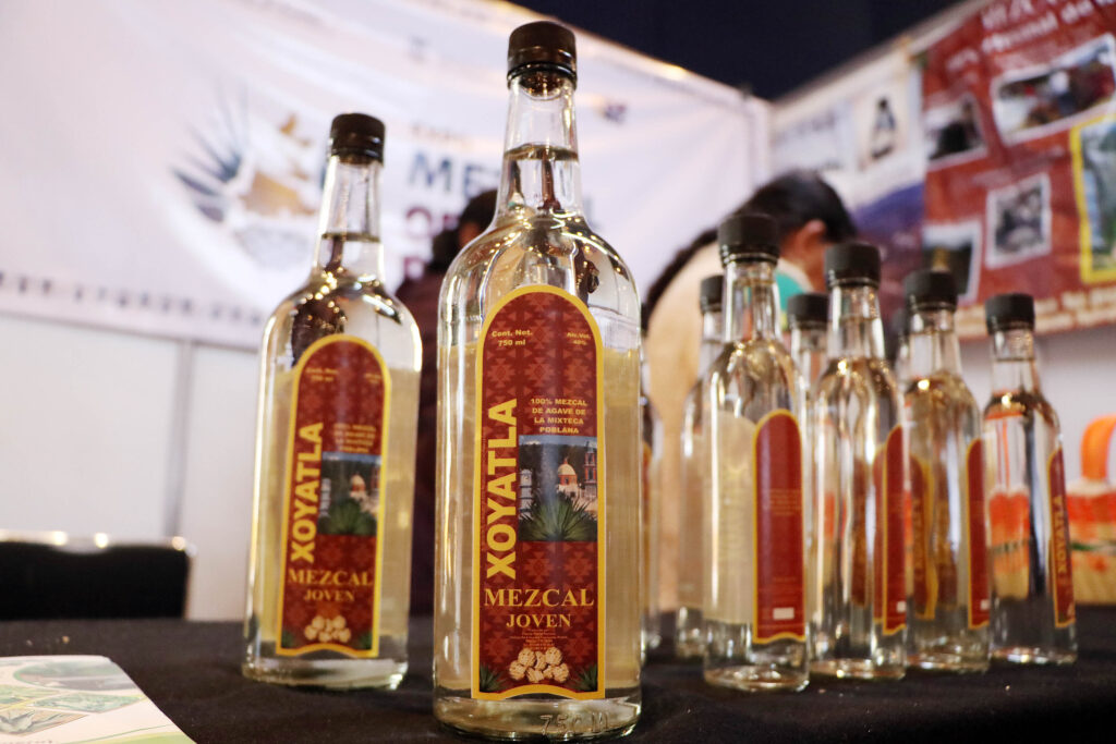 Xoyatla_ Quintilla_de_Ases_Productores poblanos de mezcal participarán en el Concurso Nacional de Marcas