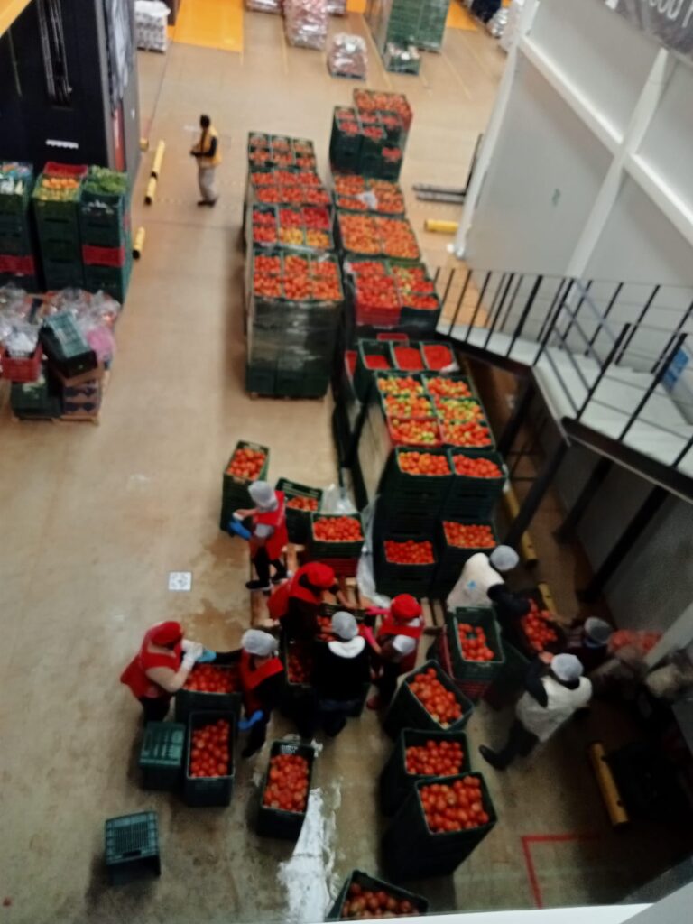 VOLUNTARIOS LABORAN EN EL BANCO DE ALIMENTOS DE CÁRITAS