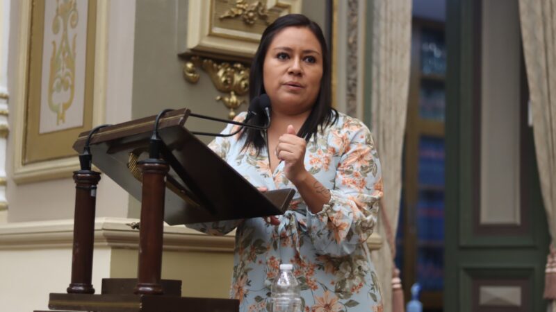 Propone diputada Ruth Zárate crear el Registro de Personas Agresoras Sexuales y Violentadoras de Género en Puebla