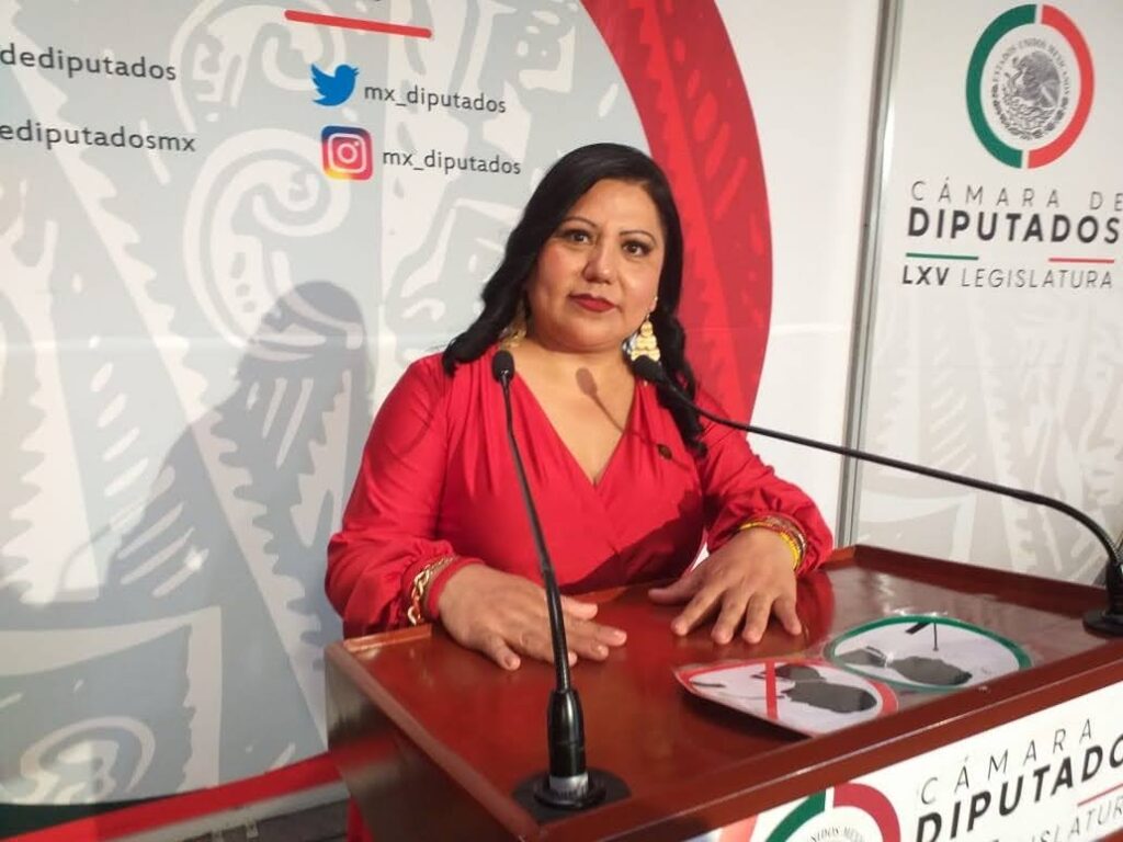 Araceli Celestino Rosas diputada federal de PT