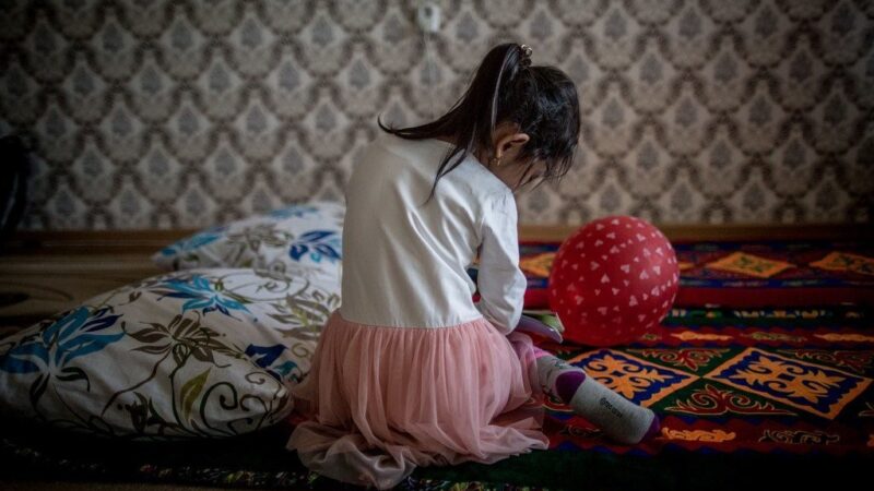 Relatora de la ONU denuncia que tribunales desestiman la violencia doméstica en casos de custodia de niños