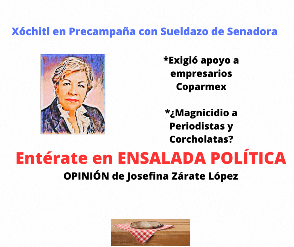 OPINIÓN de JOSEFINA ZÁRATE LÓPEZ