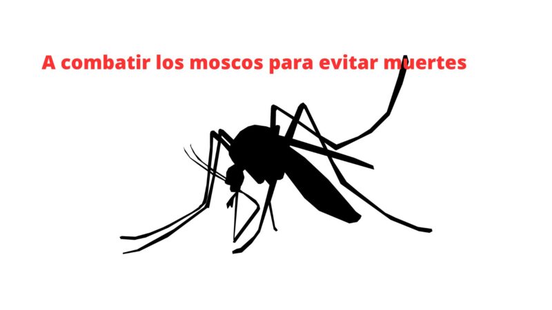 Ante el incremento de casos la Secretaría de Salud debe reforzar acciones contra el dengue: Raymundo Atanacio