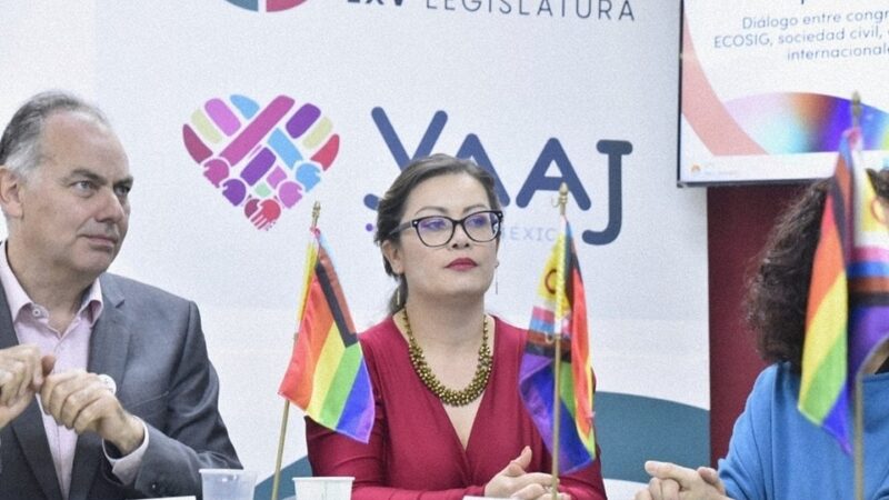 Prohibir terapias de conversión sexual “es un paso fundamental para nuestro país”: Julieta Vences