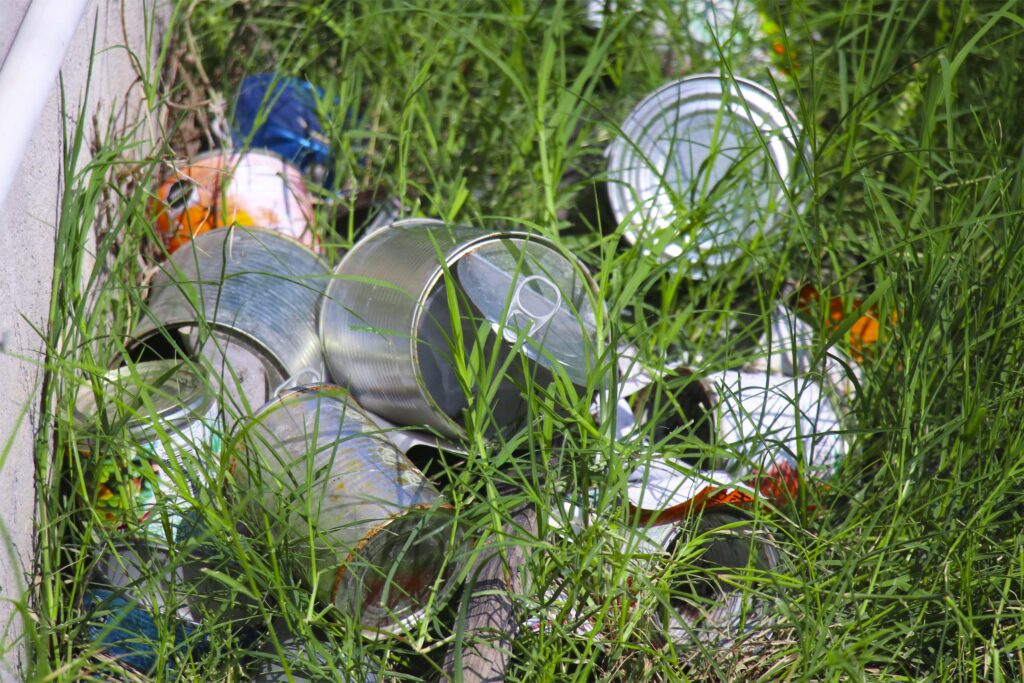 RETIRA LA BASURA EN LAS CALLES