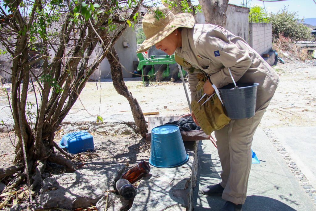 BRIGADAS CONTRA EL DENGUE