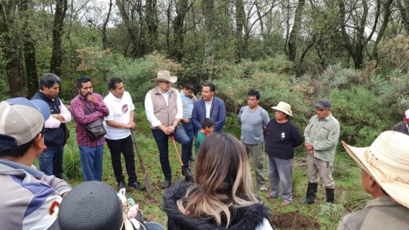 La industrialización del Cáñamo para el crecimiento sostenible y el cuidado del planeta impulsa Alejandro Armenta