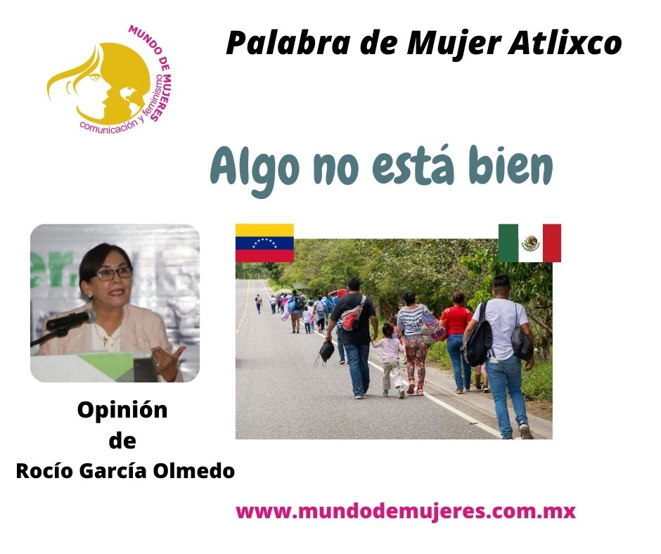 OPINIÓN