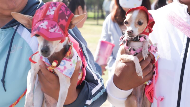 Realizan Caninata 2025: Puebla avanza con paso firme en el bienestar animal