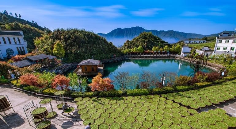 Foto cortesía de GIAHS_Chin. ©Liu Xuebin