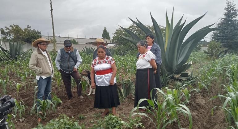 Imagen GIAHS_ Mexico, Meteplante. En los paisajes montañosos y semiáridos del estado de Tlaxcala, en México, durante más de tres milenios, las familias agricultoras han mantenido el sistema Metepantle, un mosaico en terrazas de maíz, agave, frijol, calabaza y plantas silvestres.