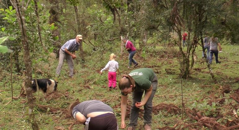 Imagen ©FAO_Jorge de Souza