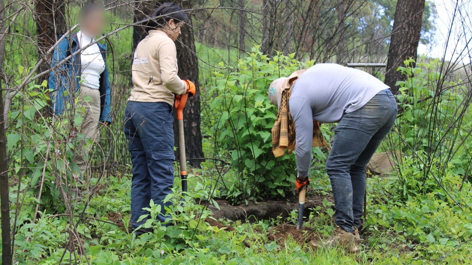 Se llevan a cabo acciones de búsqueda en Santa Rita Tlahuapan, Puebla