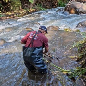Puebla refuerza labores de búsqueda de desaparecidos en Sierra Norte