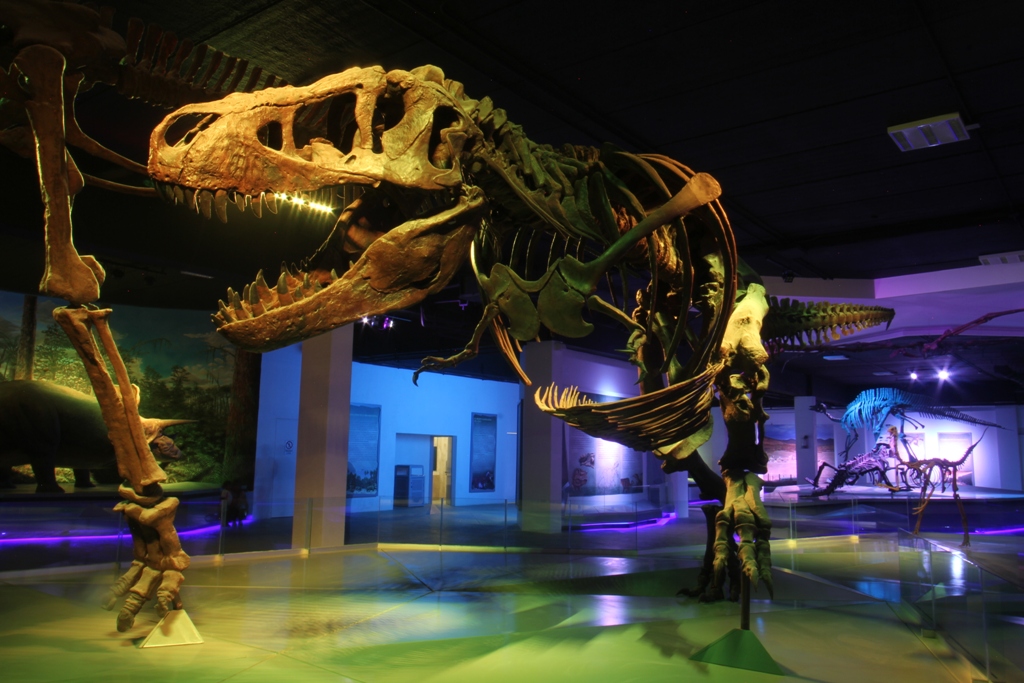 Museo de la Evolución resguarda la colección científica más importante de Puebla