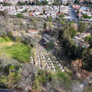 Árboles del Bosque Urbano de Puebla generarán agua, oxígeno y albergarán vida