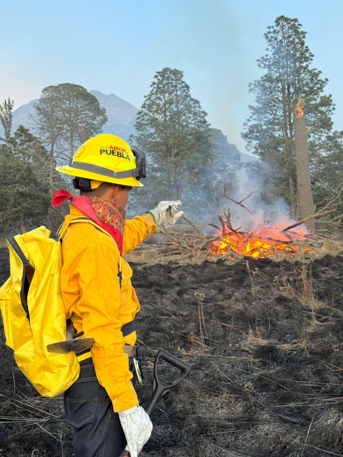 Ante incremento de incendios en 2026, Puebla intensifica acciones de combate