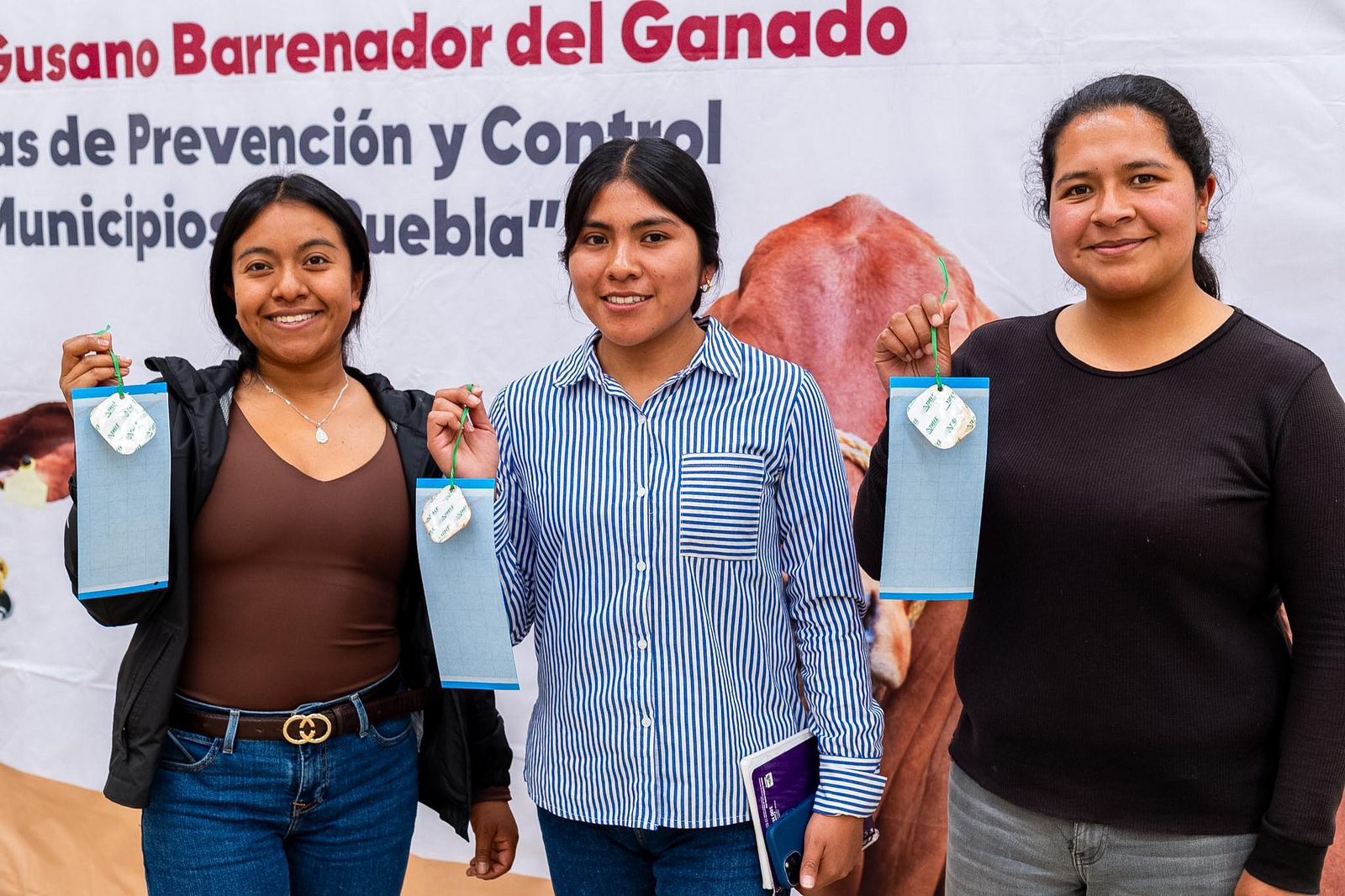 Refuerzan prevención del gusano barrenador en la Sierra Negra de Puebla