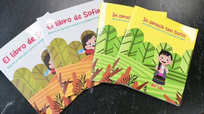 Impulsan gobierno de Puebla y CDHP «EL LIBRO DE SOFÍA» para la niñez indígena