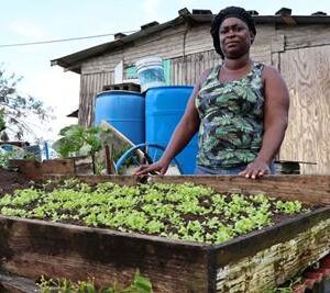 La guerra en Oriente Medio se siente en el Caribe