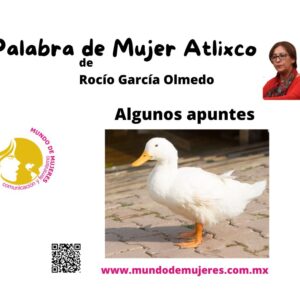Opinión