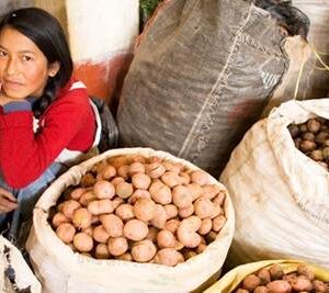 Conflicto en Irán seguirá golpeando el bolsillo y la economía de América Latina durante todo 2026: CEPAL