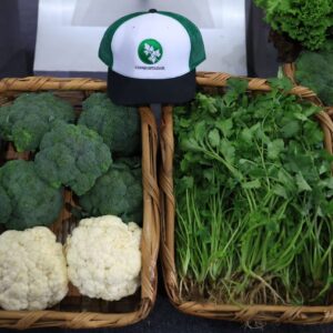 Innovación, tecnología y vinculación para productores hortícolas fortalecen el campo en Puebla