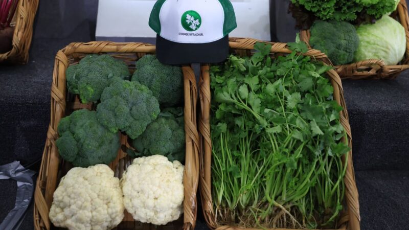 Innovación, tecnología y vinculación para productores hortícolas fortalecen el campo en Puebla