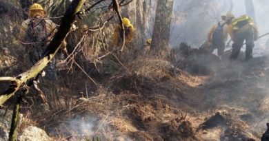 INCENDIOS FORESTALES EN PUEBLA