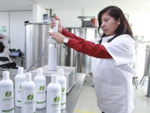 empleo asegurado ante IMSS