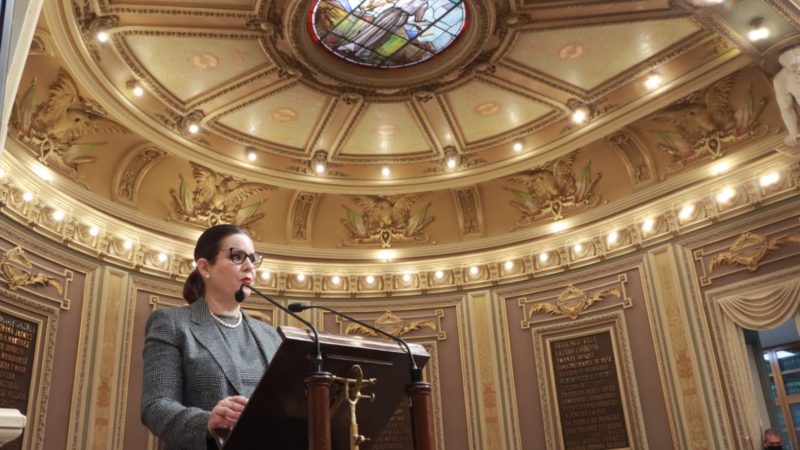 En 2021 año con menos feminicidios en Puebla: Ana Lucía Hill