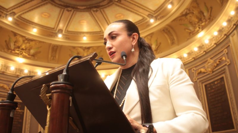 Diputada del PAN Aurora Sierra presidirá la Mesa Directiva de marzo a septiembre en el Congreso