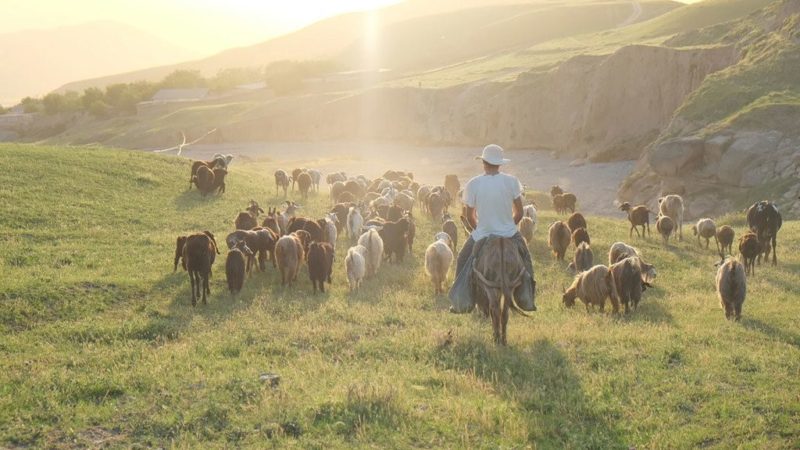 La guerra de Ucrania lleva los precios internacionales de los alimentos a un máximo histórico