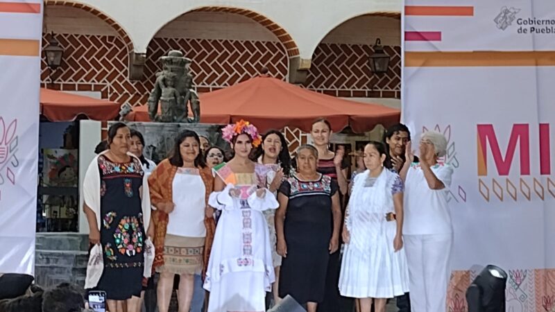 Presenta dip Nelly Maceda iniciativa para proteger derecho de Autor de Indígenas y evitar el plagio de sus obras